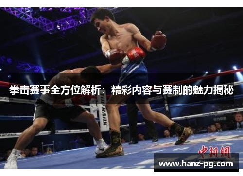 拳击赛事全方位解析：精彩内容与赛制的魅力揭秘